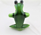 Preview: Glass Frog